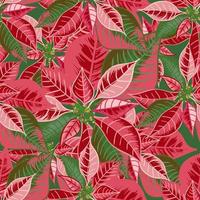 Seamless pattern with poinsettia. Christmas flower bouquet ornament in pink, red color vector