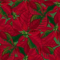 Abstract texture with poinsettia. Seamless pattern with Christmas flower bouquet ornament vector