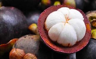 sweet mangosteen ready to eat photo