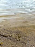 Water surfaces with waves and ripples and the sunlight reflecting at the surface. photo