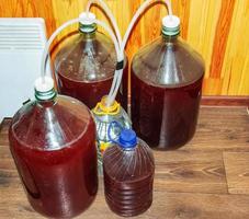 Preparation of homemade grape wine in jars with tubes with a water seal. photo