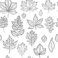 Autumn leaves seamless pattern black and white doodle style line drawing vector illustration.Leaves of different trees sketch drawing.Linear botanical pattern.Seamless outline illustration with leaves