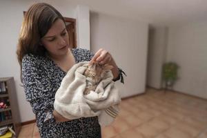 hermosa joven hispana secando cuidadosamente a su pequeño gatito marrón claro con una toalla blanca después de bañarla en su sala de estar foto