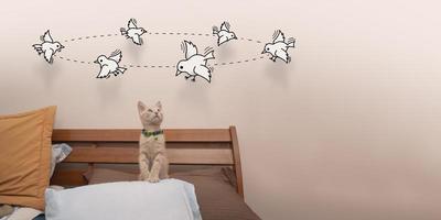 Little baby kitten standing on the bed pillow looking up looking at little birds drawn in black line photo