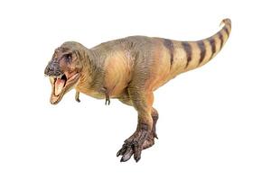 tiranosaurio rex dinosaurio sobre blanco aislar fondo trazado de recorte foto