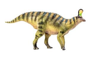 Tsintaosaurus Spinorhinus Dinosaur on white isolate background Clipping path photo