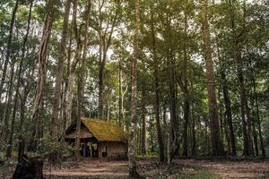 antigua cabaña de madera en el bosque foto