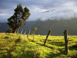 Evening light in the high andes of Ecuador photo