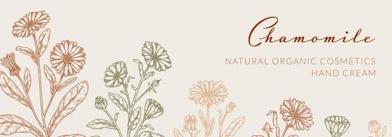 Chamomile horizontal packaging design with hand drawn elements. Vector illustration in sketch style