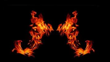 A beautiful flame shaped as imagined. like from hell, showing a dangerous and fiery fervor, black background. photo