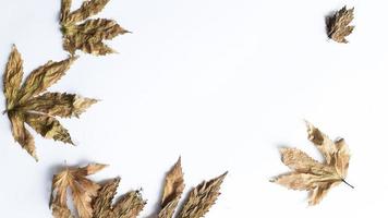 Autumn composition. Fallen yellow and brown leaves. Top view. Minimal concept. Copy space. photo