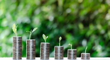 Business Finance and Money concept,Saving money for prepare in the future.tree growing on coin of stacking with green bokeh background photo