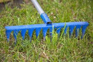 Rake in green grass. Gardener's tool is blue. Background is object in garden. photo