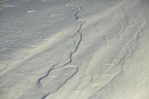 Snow texture. Windy surface of snowdrift. Snowy field. Winter weather. photo