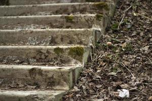 Steps in moss. Details of abandoned architecture. photo