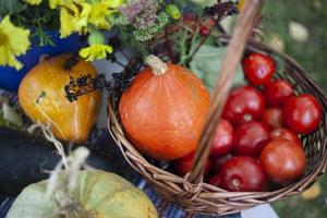 Vegetables from garden. Autumn harvest. Healthy food with vitamins. Fresh fruit collected in basket. photo