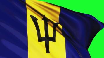 lus van Barbados vlag golvend in wind video