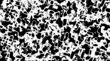 animation de bruit fractal grunge noir et blanc video