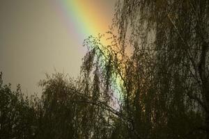 Rainbow in sky. Beautiful weather. Decomposition of light into colors. photo