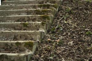 Steps in moss. Details of abandoned architecture. photo