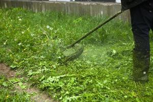 Mows the grass with a hand-held lawn mower. The gardener is cutting the lawn. photo