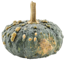 calabaza tailandesa cruda aislada png