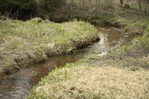 A stream in the forest. Fresh water flows through a natural channel. photo