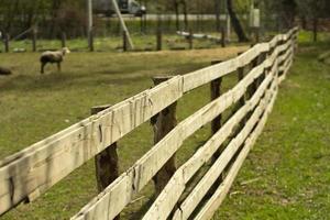 Wooden fence on the farm. A hedge of boards in summer. photo