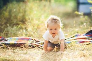 little girl crawling on the lawn photo