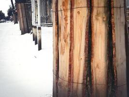 Wood boards placed around a tree trunk and secured with wire to protect it from damage during road construction in winter snow close up photo