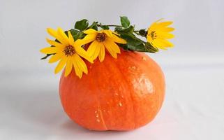 fondo de otoño para acción de gracias. calabaza naranja y flores amarillas sobre un fondo blanco foto