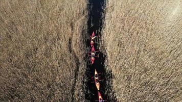 grupo de personas en kayaks entre juncos en el río de otoño. foto