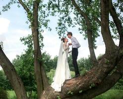 novia y novio en el árbol foto
