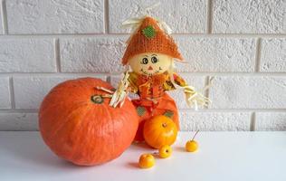 espantapájaros y calabaza sobre un fondo blanco.concepto de halloween y día de acción de gracias foto