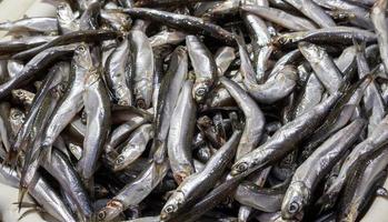 el pez anchoa del mar negro pertenece a la familia engraulidae. un montón de peces pequeños para la venta foto