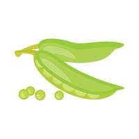 Isolated on a white background are two green pea pods. Flat vector illustration.