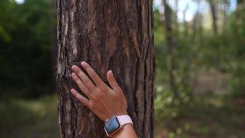 bella donna nel il natura, a piedi nel il parco video