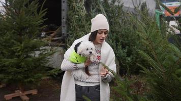 Winter girl with little dog look at pine trees video