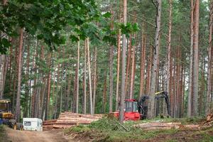 máquina forestal roja parada entre árboles verdes de verano cerca de la carretera de arena con un tractor azul y una caravana cerca de la carretera de arena foto