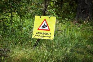 señal de tala de bosques con advertencia de triángulo rojo colgando de una rama en un bosque de verano con hierba alta foto