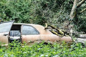 viejos autos ford abandonados tirados en el bosque en algún lugar de bélgica foto