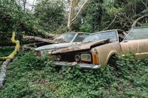 viejos autos ford abandonados tirados en el bosque en algún lugar de bélgica foto