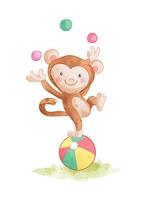 Cute cartoon monkey juggle ball on colorful ball illustration vector