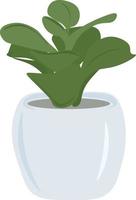 plant in flowerpot vector