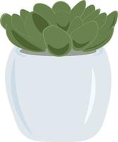 illustration of a green plant vector