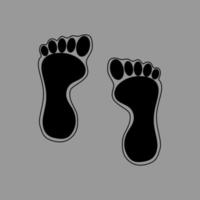 vector illustration of soles