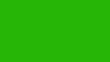 Green Background Stock Video Footage for Free Download