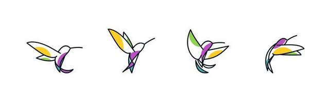 Colibri bird 4 combinations with color. line abstract vector