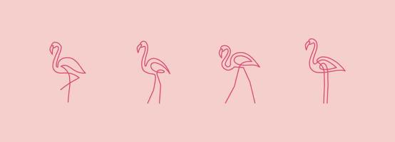 Collections flamingo vector line art illustration