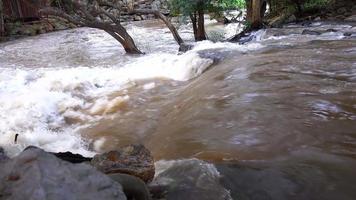 arroyos y arroyos fluyen como pequeñas cascadas en el bosque. video